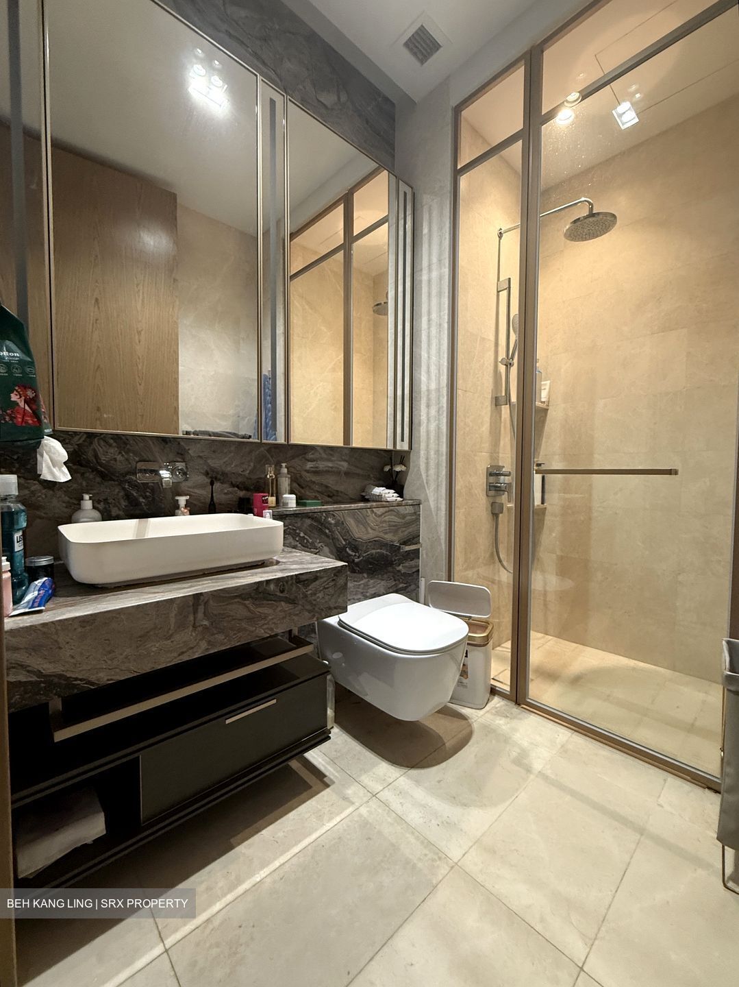 The Avenir (D9), Condominium #538415341